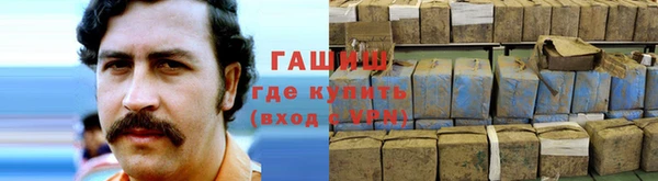 соль ск Инсар