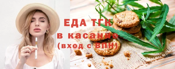 соль ск Инсар