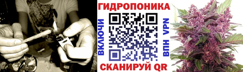 Купить  Кадников  Конопля THC 21% 